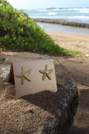 Aretes de estrella de mar