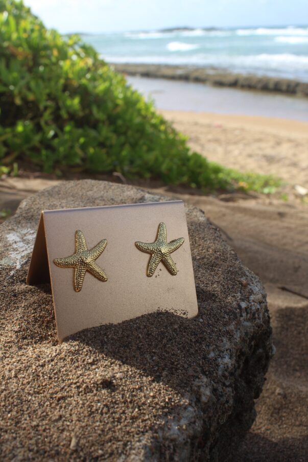 Aretes de estrella de mar