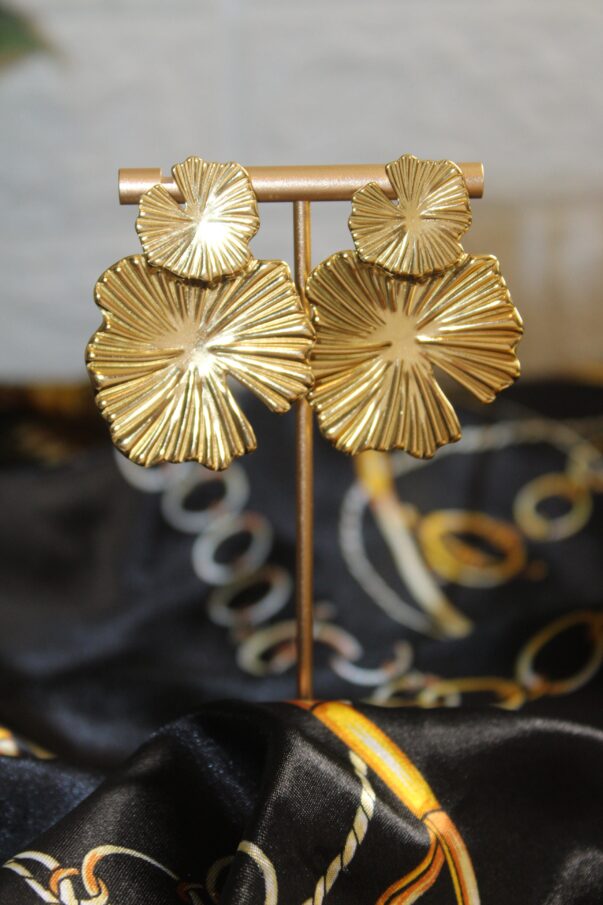 Aretes - Imagen 2